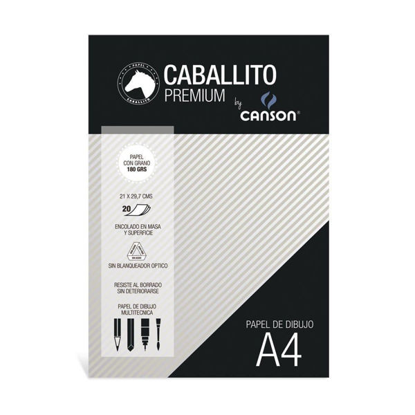 Imagen de BLOCK DE HOJAS CANSON A4 180 GRS